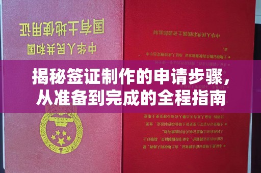 泊头揭秘签证制作的申请步骤，从准备到完成的全程指南